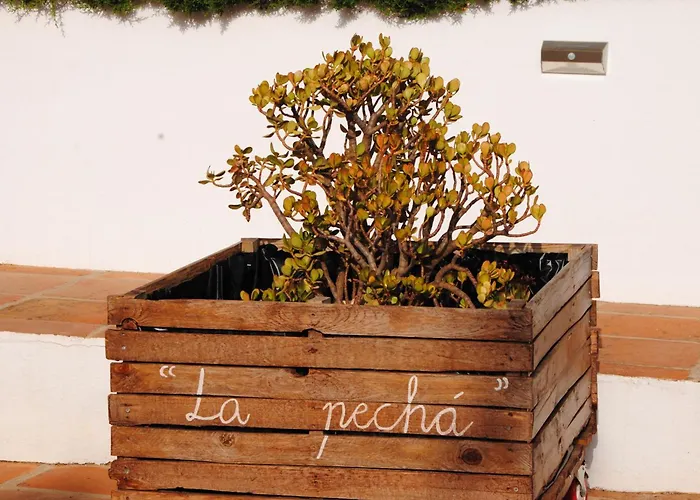 Casa La Pecha, * Ронда